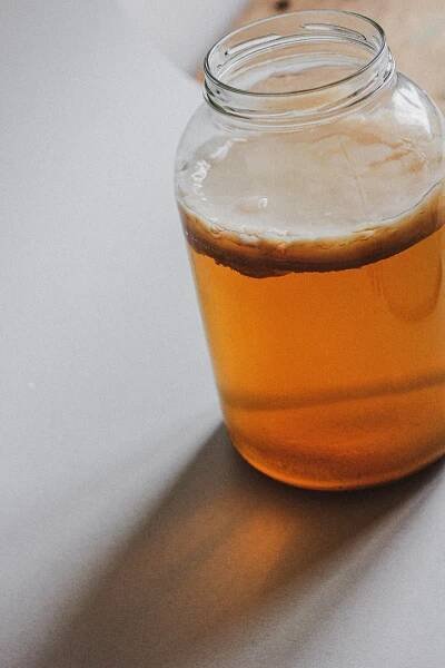 Kombucha | Svaté střevo