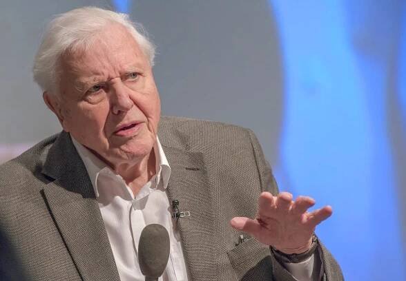 Sir David Attenborough joins Instagram