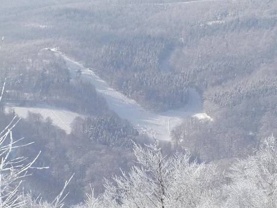 Pyšná