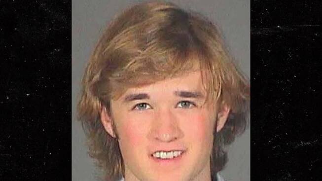 Haley Joel Osment Arrested for Public Intoxication at California Ski Resort