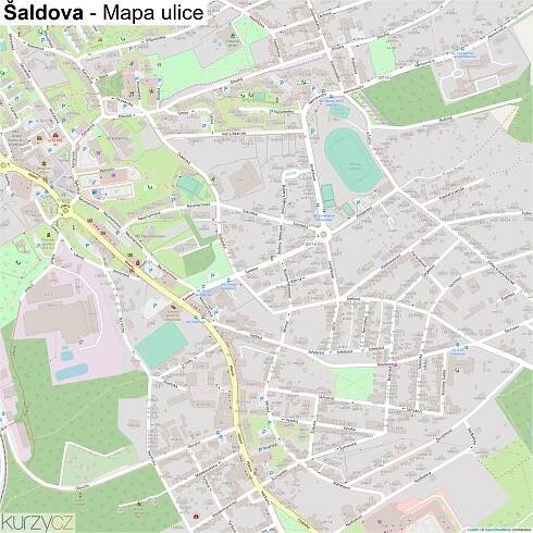 Šaldova - mapy | Kurzy.cz