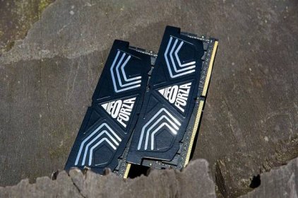 Neo Forza FAYE 16GB DDR4 5000 MHz CL19 | Glob3trotters