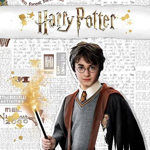Harry Potter – Giochi Preziosi