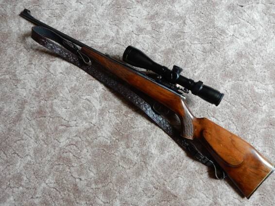 Anschutz 22 WMR