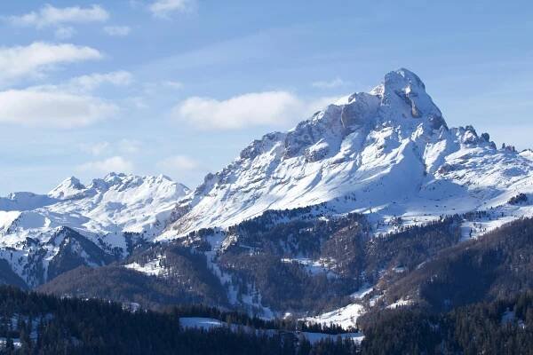 Základová fotografie na téma alpe di siusi, alpy, bez oblačnosti, bílá, borovice, cestování, cestovní destinace, cestovní