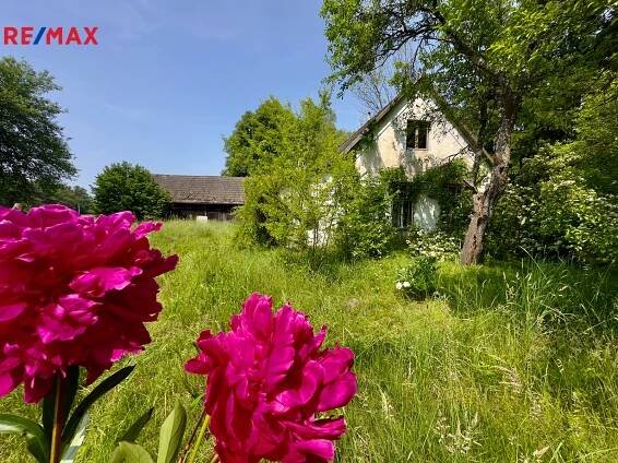 Rodinný dům, pozemek 2.638 m2, Nová Ves nad Lužnicí | Reality.iDNES.cz 