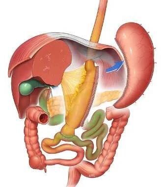 Atlas Of Bariatric and Metabolic Surgery Image