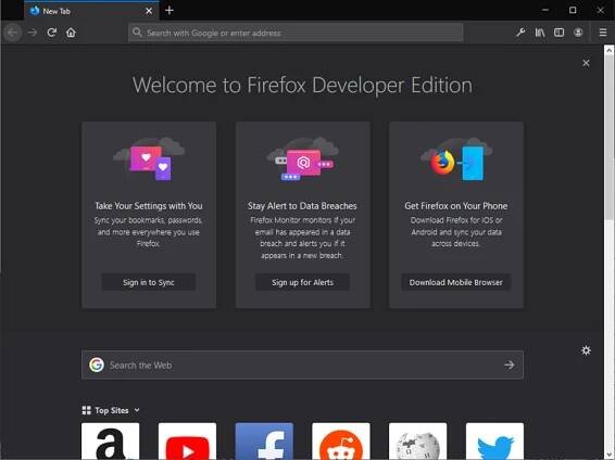 Mozilla Firefox Developer Edition, Portable | PortableApps.com