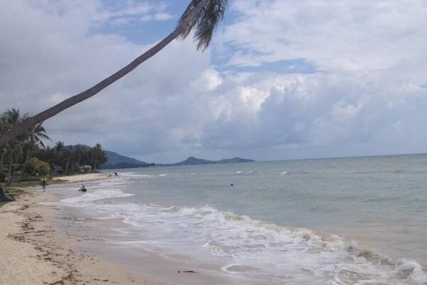 Recenze hotelů Koh Samui - Thajsko od klientů Invia.cz