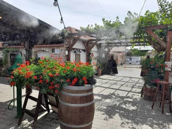 Restaurant Albero Valtice foto 5