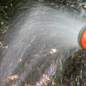10 Ways to Conserve Water in the Garden - FineGardening