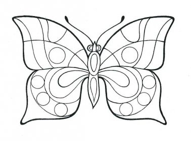černobílé omalovánky motýlek