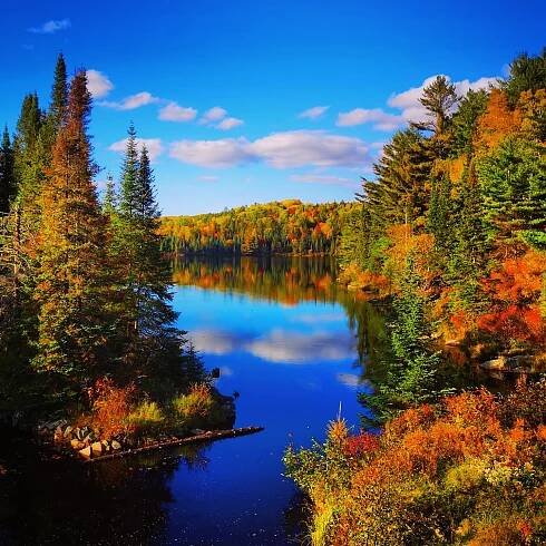 Fall Landscapes in Algonquin Park