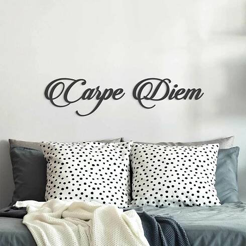 Nápis na zeď - Carpe Diem