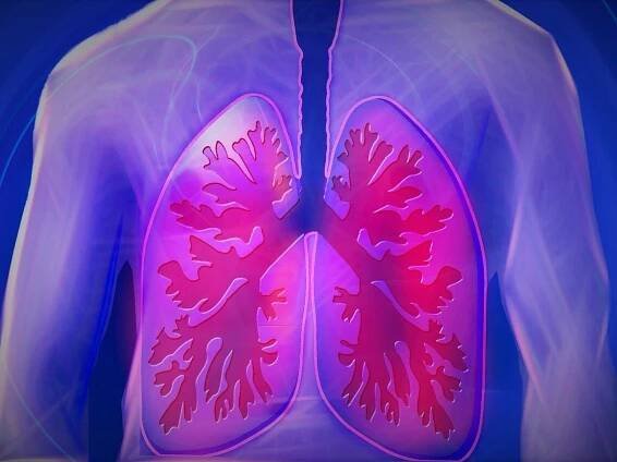 Cystická fibróza: Příznaky, diagnostika, léčba a prognóza - Jakbýtfit.cz