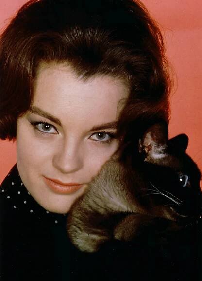 Romy Schneider (1938-1982) - Find a Grave Memorial