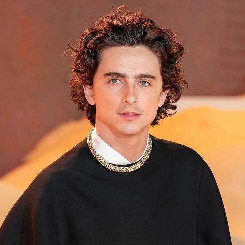What’s Mitchell-Lama? Timothée Chalamet (Kind of) Explains