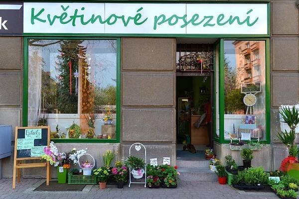Kontakt - Květinové posezení