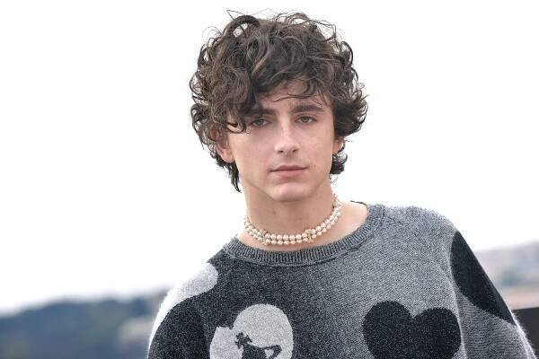 Timothée Chalamet's scruffy bedhead hair deserves all the awards