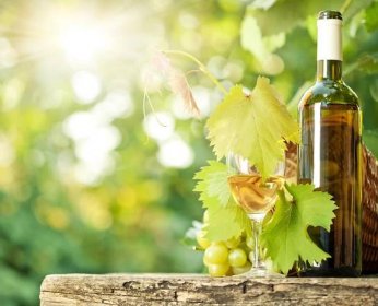 Bílá láhev vína, vinná réva, sklenice a hrozny — Stock Fotografie © Yaruta #8485746