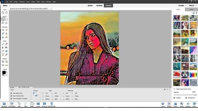 Photoshop Elements 2022