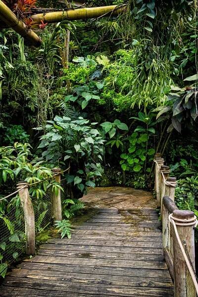 Botanická zahrada Praha • Cestovatelský portál Travellect