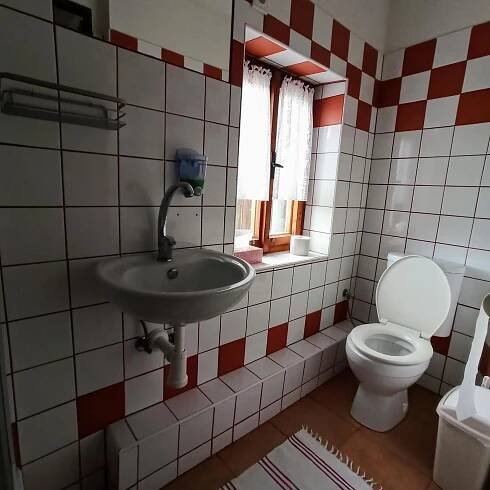 a bathroom with a sink and a toilet at Pension Helene s mini pivovarem in Kytlice