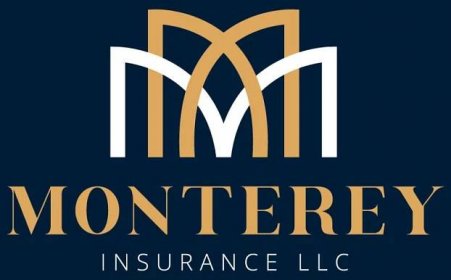 How These Insurance Logos Attract More Clients