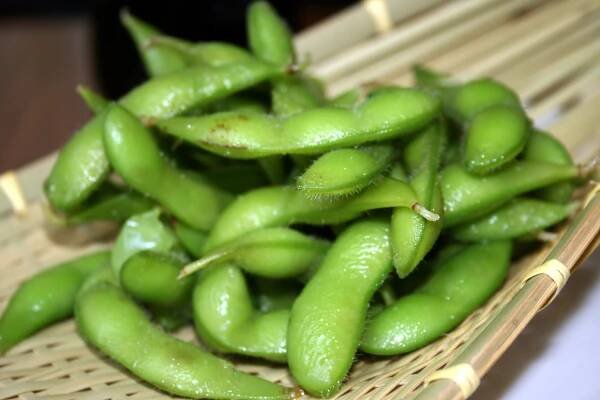 Edamame – Wikipedia