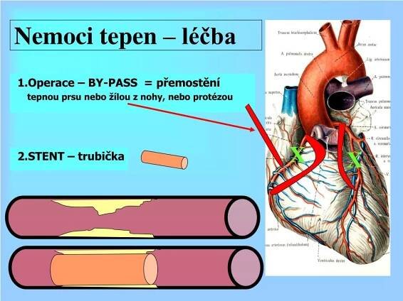 PPT - Funkce krevního oběhu a srdce PowerPoint Presentation, free download - ID:4776188