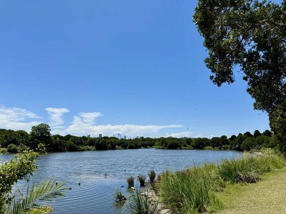 Centennial Park (Sydney)