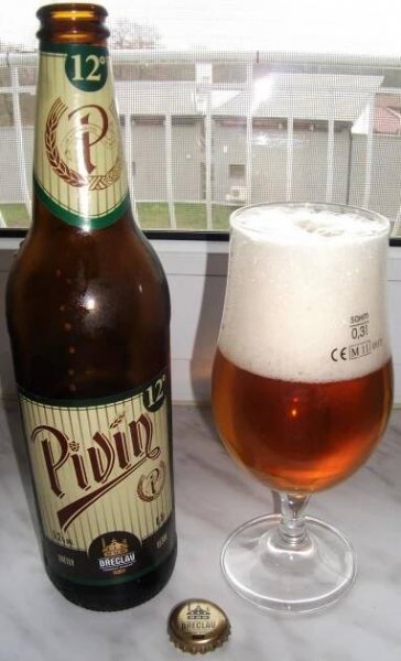 Recenze Pivín světlý ležák