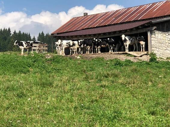 Le fantastiche attività estive da provare a Lavarone