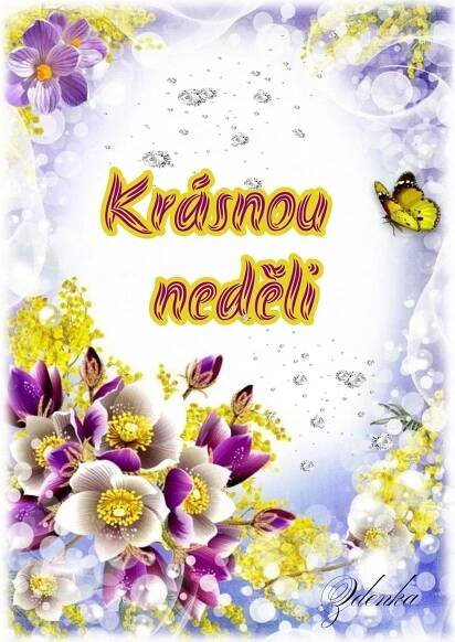 the words krasnou medeii are written in yellow and purple flowers