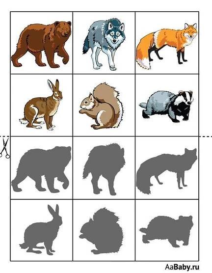 an animal shadow matching game with different animals
