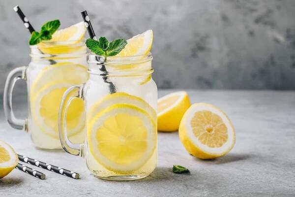 Best Lemon Juicer Review