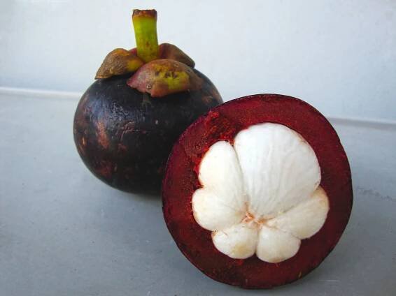 Category:Mangosteen - Wikimedia Commons