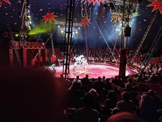 Cirkus HUMBERTO 2025 – Dětský domov a Školní jídelna, Opava, Rybí trh 14, příspěvková organizace