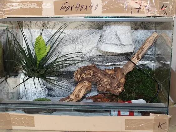 Terarium vybavené 100x40x40 -agama