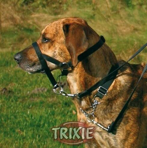 POSTROJ TOP TRAINER vel. S, 22 cm Obchodní název Uprząż top trainer S