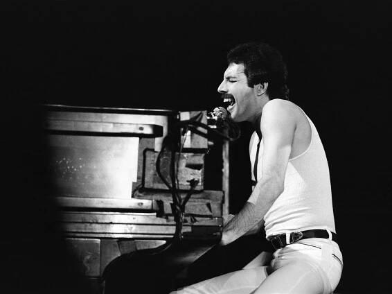 A black and white photo of Freddie Mercury performing on stage