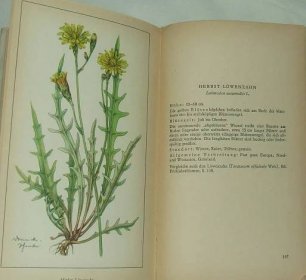 Taschenbuch der heimischen Sommerblumen II - F. Koch - rostliny - Odborné knihy