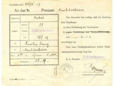 1919, DR Schluckenau 29.7.1919, formulář D. Nr. 80