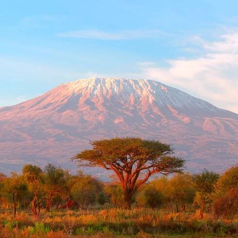 I’m Climbing Mount Kilimanjaro!