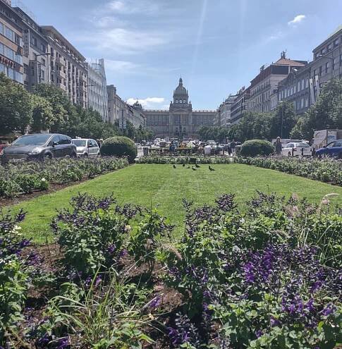 Praha má nový web, který informuje o správě a rozvoji zeleně v hlavním městě