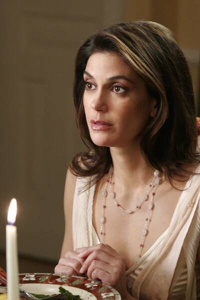 Zoufalé manželky - Válka na Wisteria Lane - Z filmu - Teri Hatcher