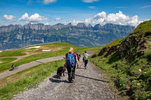 Flumserberg Wanderung - dog coachers - Die professionelle Hundeschule am Hochrhein