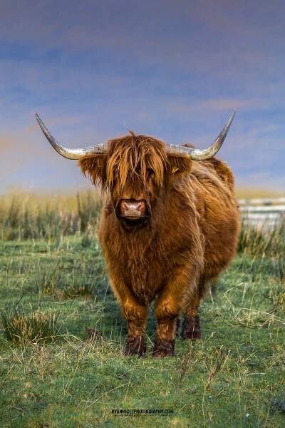Scotland – ryannigelphotography.com