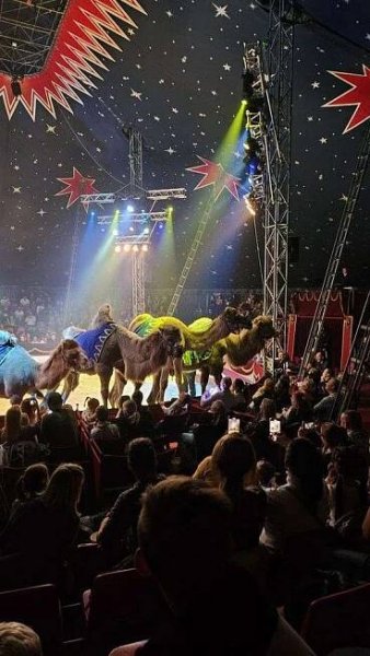 Legendární Cirkus Humberto ukončí letošní turné v Praze-Letňanech - General News