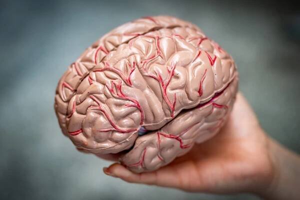 Silent brain changes precede Alzheimer’s. Researchers have new clues about which come first